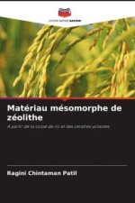Matériau mésomorphe de zéolithe