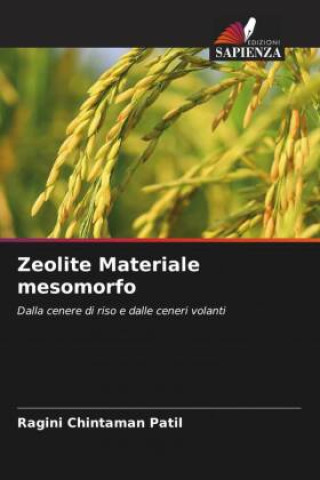 Zeolite Materiale mesomorfo