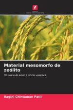 Material mesomorfo de zeólito