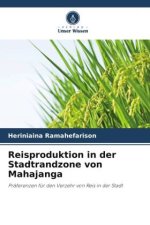 Reisproduktion in der Stadtrandzone von Mahajanga