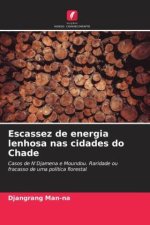Escassez de energia lenhosa nas cidades do Chade