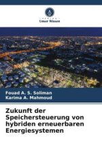 Zukunft der Speichersteuerung von hybriden erneuerbaren Energiesystemen