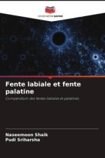 Fente labiale et fente palatine