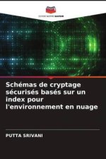 Schémas de cryptage sécurisés basés sur un index pour l'environnement en nuage