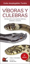 VIBORAS Y CULEBRAS