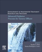 Developments in Wastewater Treatment Research and Processes