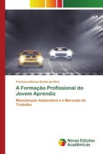 A Formaç?o Profissional do Jovem Aprendiz