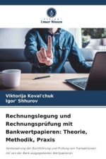 Rechnungslegung und Rechnungsprüfung mit Bankwertpapieren: Theorie, Methodik, Praxis