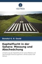Kapitalflucht in der Sahara: Messung und Abschwächung
