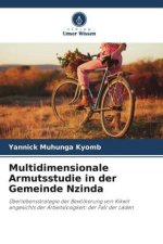 Multidimensionale Armutsstudie in der Gemeinde Nzinda