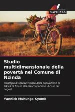 Studio multidimensionale della povert? nel Comune di Nzinda