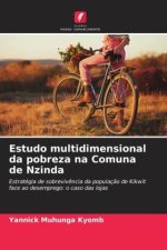 Estudo multidimensional da pobreza na Comuna de Nzinda