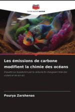 Les émissions de carbone modifient la chimie des océans