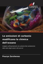 Le emissioni di carbonio modificano la chimica dell'oceano