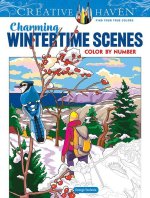 Creative Haven Charming Wintertime Scenes Color by Number
