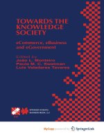 Towards the Knowledge Society