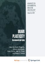Brain Plasticity