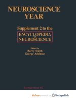 Neuroscience Year