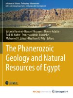 Phanerozoic Geology and Natural Resources of Egypt