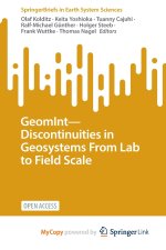GeomInt-Discontinuities in Geosystems From Lab to Field Scale