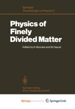 Physics of Finely Divided Matter