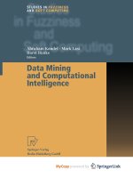 Data Mining and Computational Intelligence