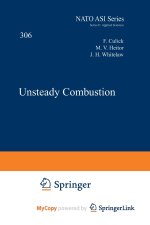Unsteady Combustion