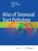 Atlas of Sinonasal Tract Pathology