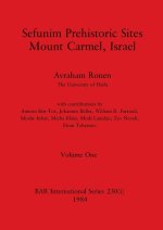 Sefunim Prehistoric Sites Mount Carmel, Israel, Volume i
