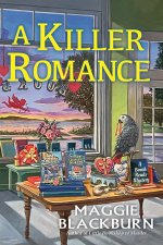 Untitled Beach Reads Mystery #3