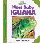 Active Minds Explorers: Meet Baby Iguana
