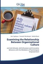 Examining the Relationship Between Organizational Culture