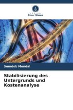 Stabilisierung des Untergrunds und Kostenanalyse