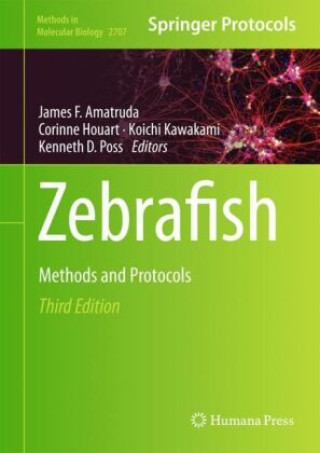 Zebrafish
