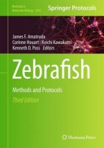Zebrafish