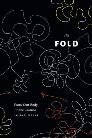 The Fold – From Your Body to the Cosmos