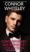 Contemporary Gay Romance Collection: 3 Gay Sweet Romance Novellas