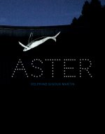 Delphine Gigoux-Martin. Aster&co