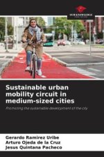 Sustainable urban mobility circuit in medium-sized cities
