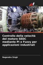 Controllo della velocit? del motore SEDC mediante PI e Fuzzy per applicazioni industriali