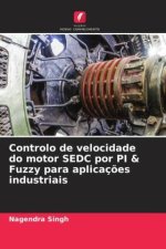Controlo de velocidade do motor SEDC por PI & Fuzzy para aplicaç?es industriais