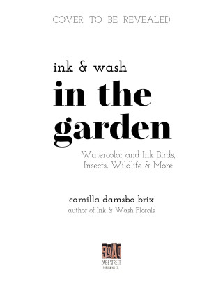 Ink and Wash in the Garden: Watercolor and Ink Birds, Insects, Wildlife and More