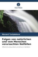 Folgen von natürlichen und vom Menschen verursachten Notfällen