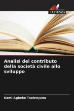 Analisi del contributo della societ? civile allo sviluppo
