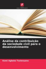 Análise da contribuiç?o da sociedade civil para o desenvolvimento
