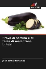 Prova di semina e di talea di melanzana brinjal