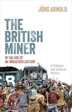 The British Miner in the Age of De-Industrialization A Political and Cultural History (Hardback)