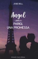 Parigi, una promessa. Angel