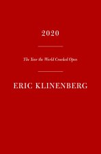 2020: The Year the World Cracked Open