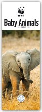 WWF Baby Animals - Tierjunge - Tierbabys 2024